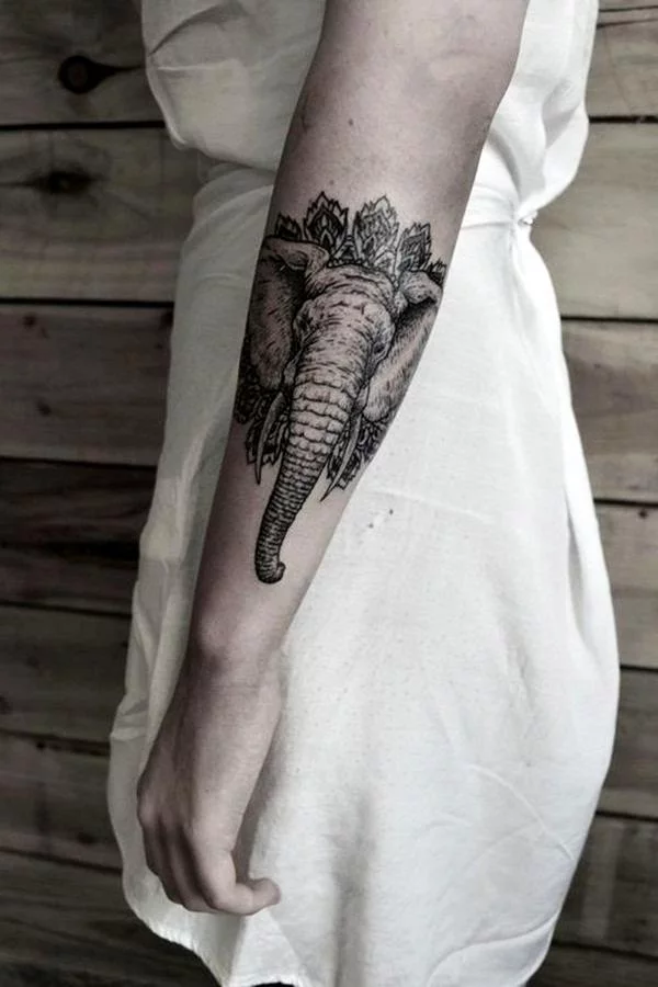 36 Sweet Elephant Tattoos On Shoulder  Tattoo Designs  TattoosBagcom