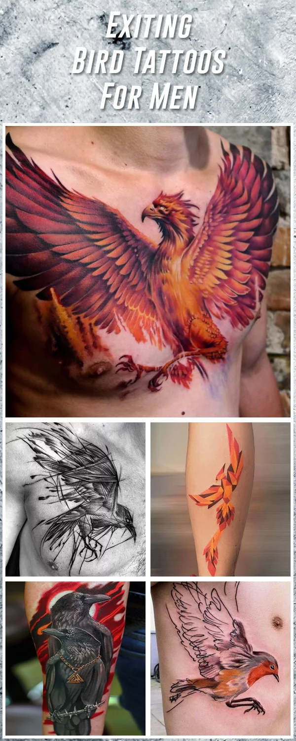 Bird Tattoos  Inked World  Tattoo Magic