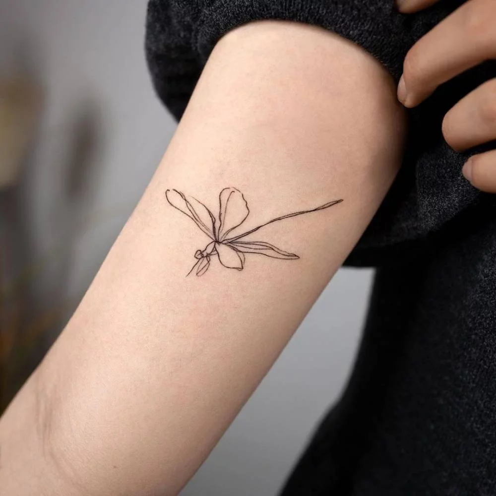 10 Best Dragonfly Tattoo With WordsCollected By Daily Hind News  Daily  Hind News