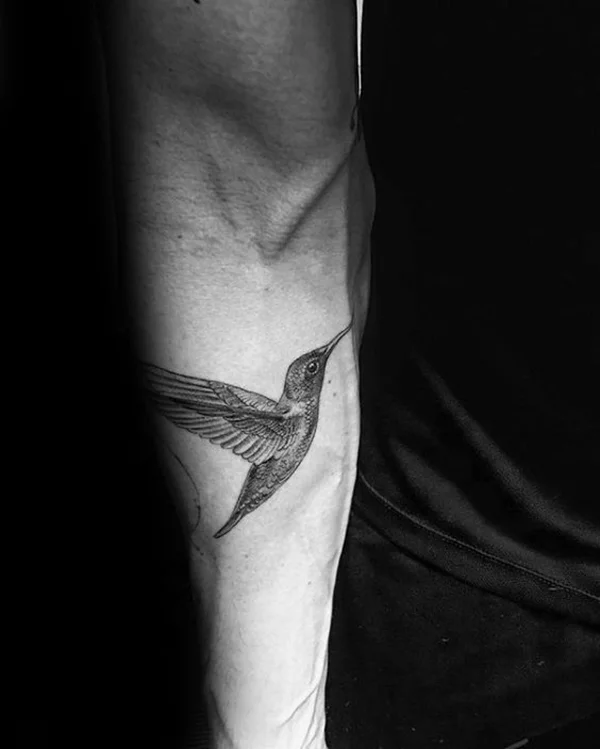 Artistically drawn black contour polygonal hummingbird on white  background Tattoo style Stock Vector Image  Art  Alamy